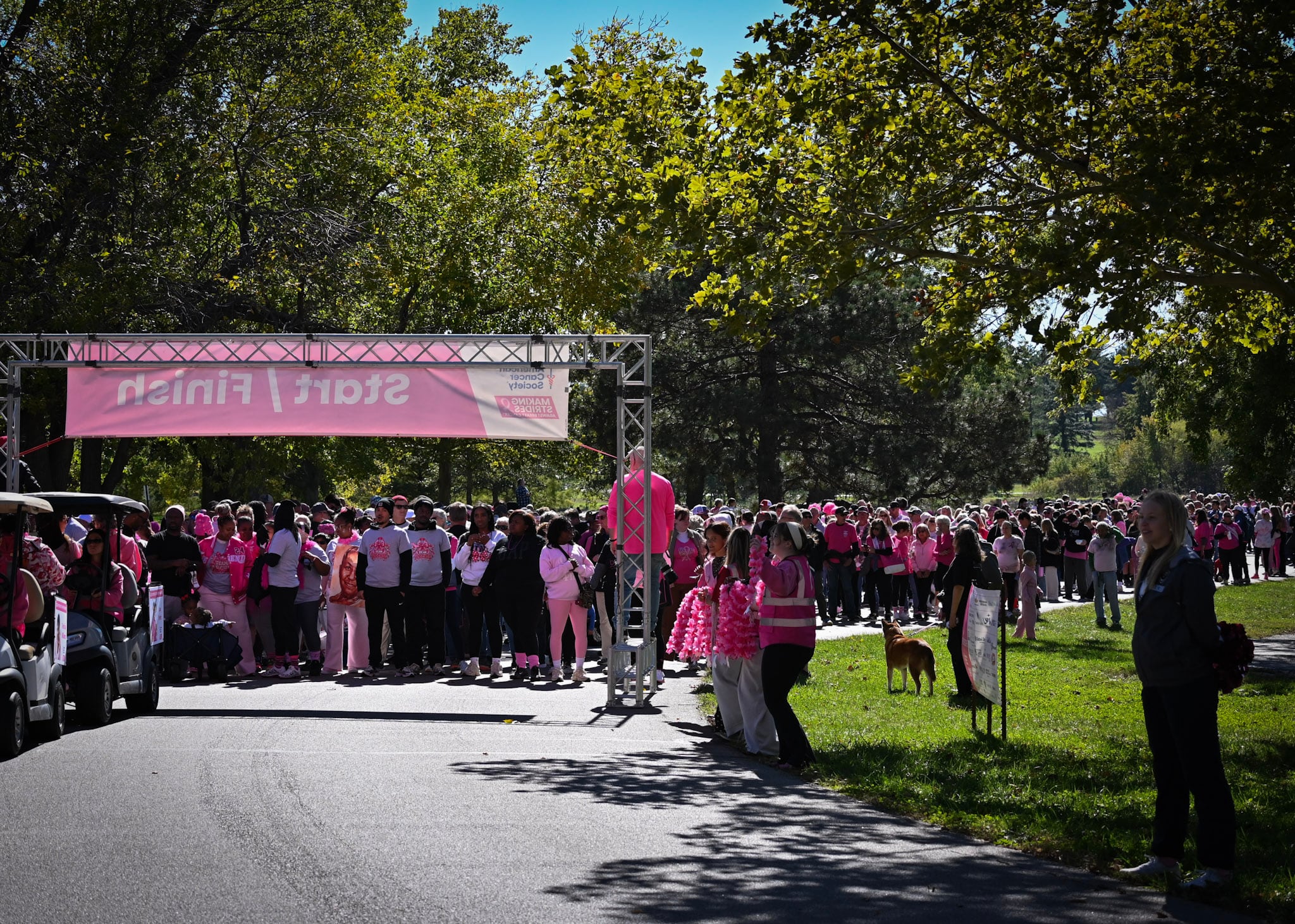Making Strides for Nebraska breast cancer walk draws large crowd