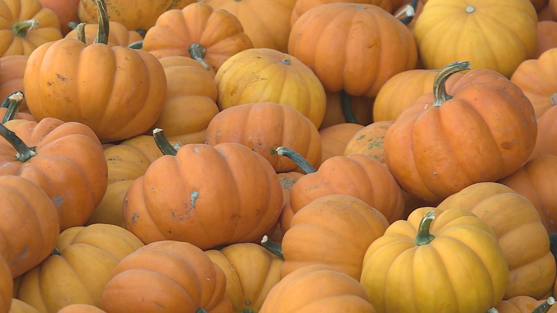 Roca Berry Farm closes Thursday due to heavy rain