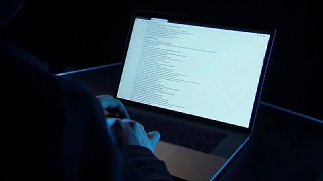 Stolen password caused North Platte city cyberattack