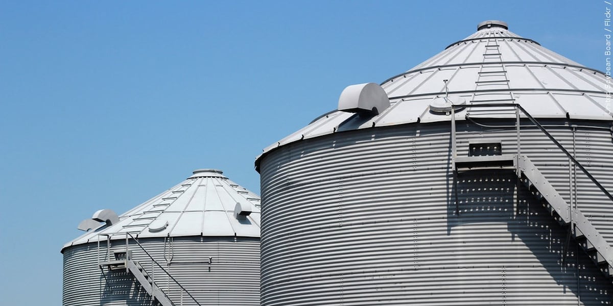 LIVE: State agency orders central Nebraska grain company to halt operations while under investigation