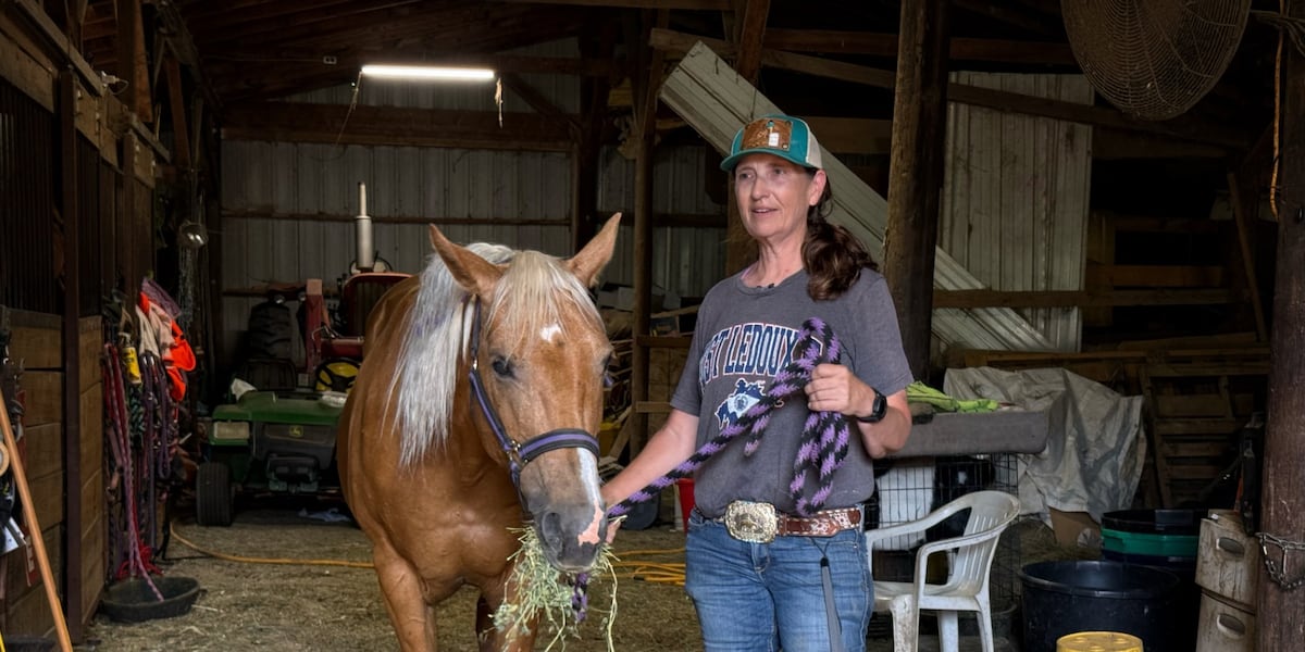 Nebraska nurse hopes to reshape hospice care with healing power of horses