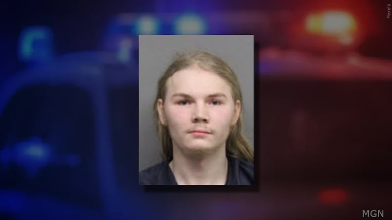 Woman sues Lincoln police officers, alleging excessive force against ...
