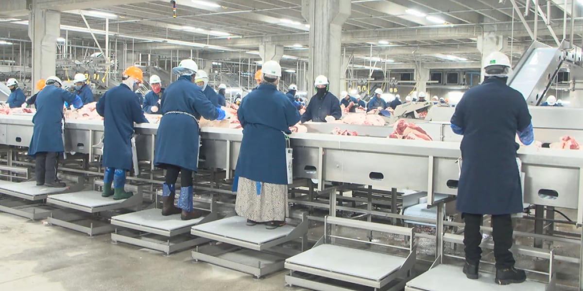 Sustainable Beef nears processing goal less than six months after opening in North Platte