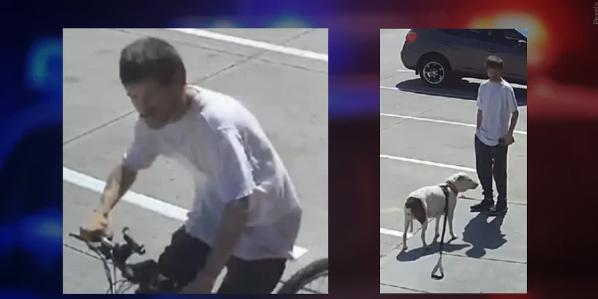 Crime Stoppers deem dog involved in south Lincoln bike theft ‘innocent'