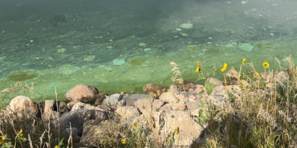 Health alert extended for eastern Nebraska lakes