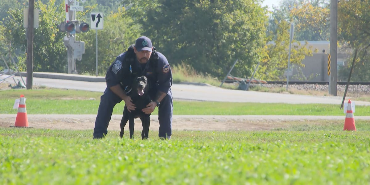 Aspiring rescue dogs travel cross country to Lincoln for FEMA certification
