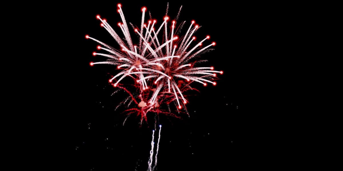 LTU, environmental experts talk about fireworks hazards on area ecosystems LTU, environmental experts talk about fireworks hazards on area ecosystems