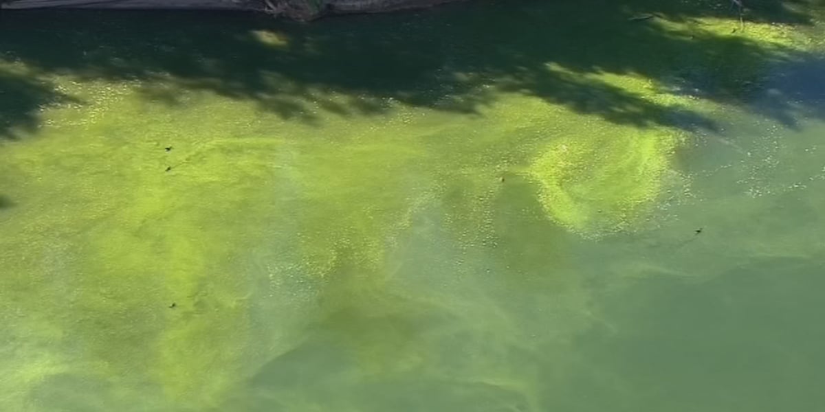 Health alert continues for southeast Nebraska lake