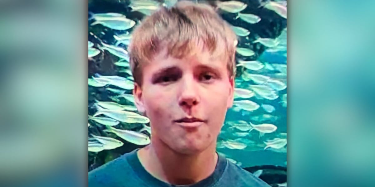 Police seeking help in search for missing Lincoln teen